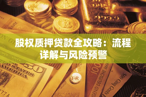 武汉股权质押贷款全攻略：流程详解与风险预警