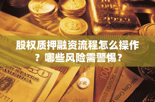 武汉股权质押融资流程怎么操作？哪些风险需警惕？