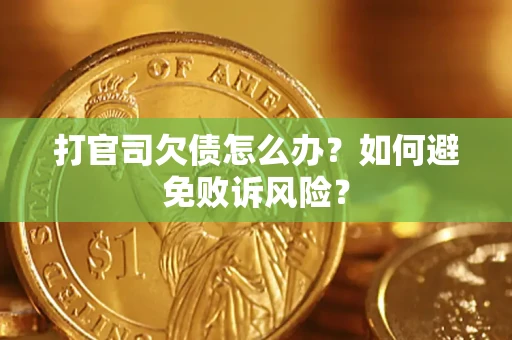 武汉打官司欠债怎么办？如何避免败诉风险？