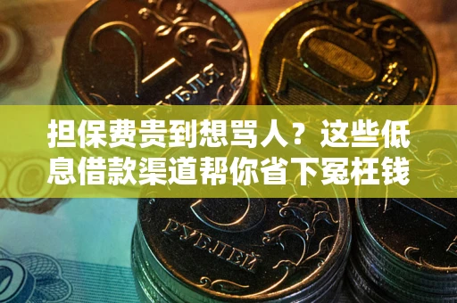 武汉担保费贵到想骂人？这些低息借款渠道帮你省下冤枉钱