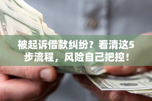 武汉被起诉借款纠纷？看清这5步流程，风险自己把控！