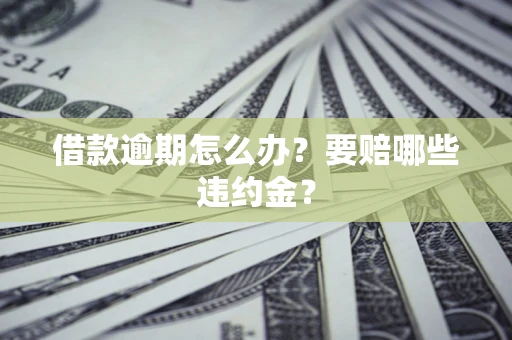 武汉借款逾期怎么办？要赔哪些违约金？