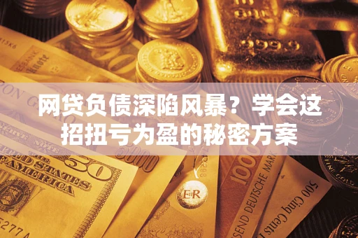 武汉网贷负债深陷风暴？学会这招扭亏为盈的秘密方案